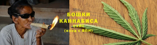 PSILOCYBIN Елабуга