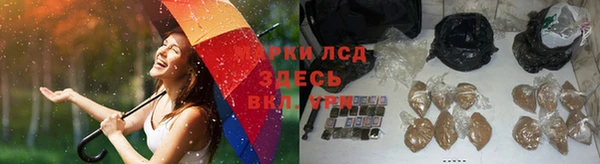 мдма Ельня