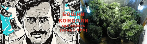 PSILOCYBIN Елабуга