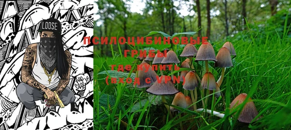 PSILOCYBIN Елабуга