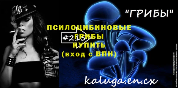 эйфоретик Елизово