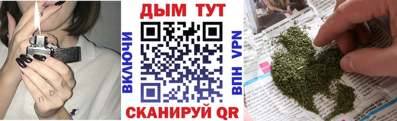 Купить закладки  Вичуга  МАРИХУАНА сатива 
